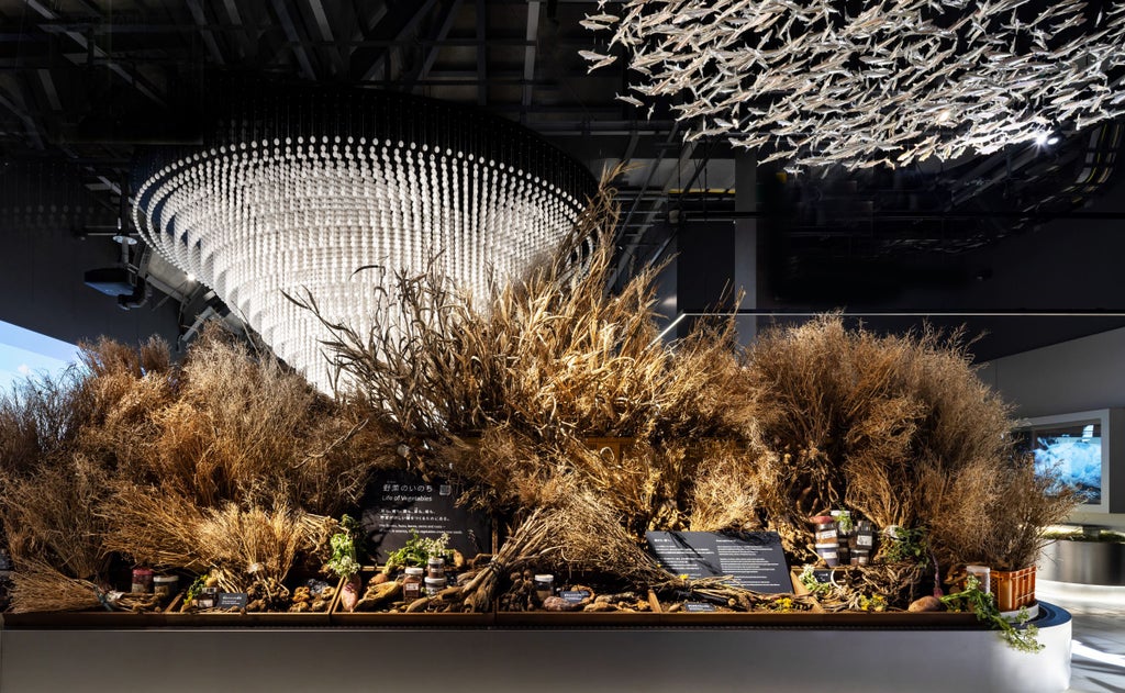 Osaka Kansai Expo "EARTH MART" Photo: Masato Kono, Nakasa and Partners